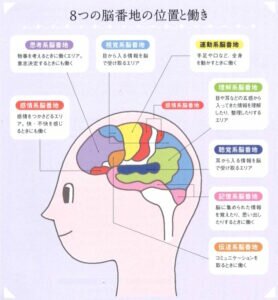 【眠れる脳の作り方】眠りの浅い脳の部位を熟睡させる！専門医直伝の「脳番地快眠法」(その2） | ゆほびかweb